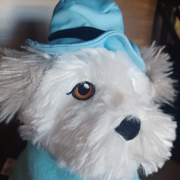 Disney Parks 100 Years Decades Shaggy Dog Chiffon Collectible Soft Plush 12" - Picture 9 of 13